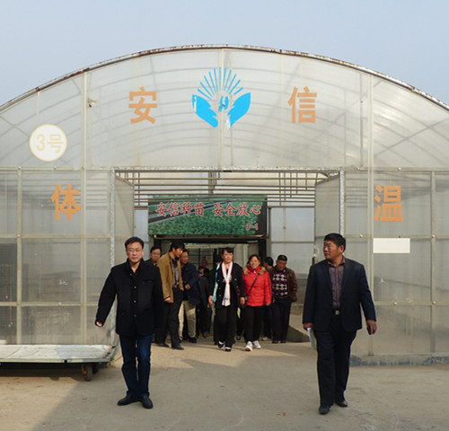 淄博市高青科協(xié)農(nóng)業(yè)考察團(tuán)參觀安信辣椒苗基地