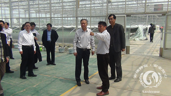 歡迎濟(jì)南市政法委李書記到安信西瓜苗基地指導(dǎo)工作