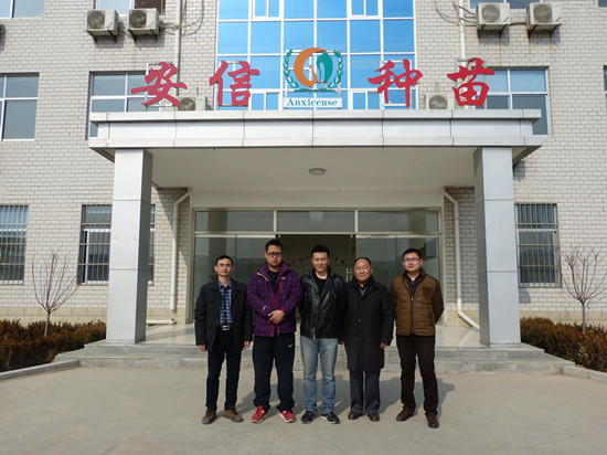 山東農(nóng)科頻道主持人公禮參觀安信甜瓜苗基地