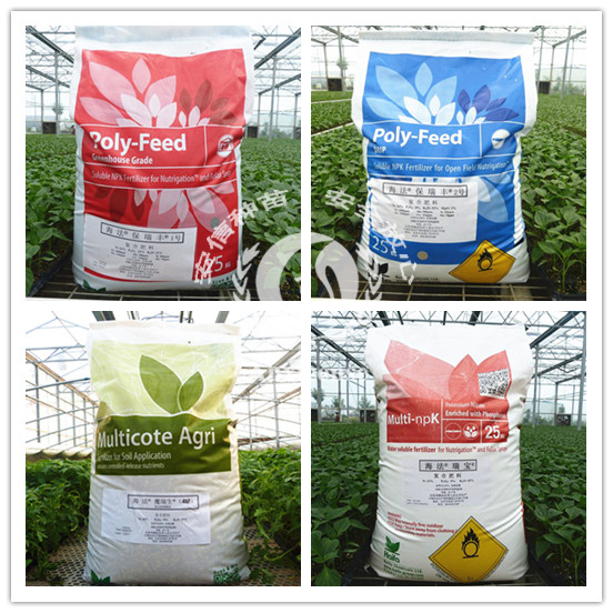 以色列海法保瑞豐系列進(jìn)口水溶肥_安信種苗 以色列海法保瑞豐系列進(jìn)口水溶肥_安信種苗