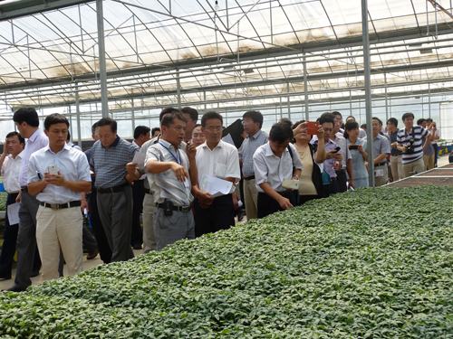 十七地市農業(yè)局領導來我公司參觀指導