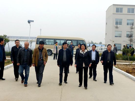 濟(jì)南市教育局陳局長(zhǎng)來安信甜椒苗基地參觀考察