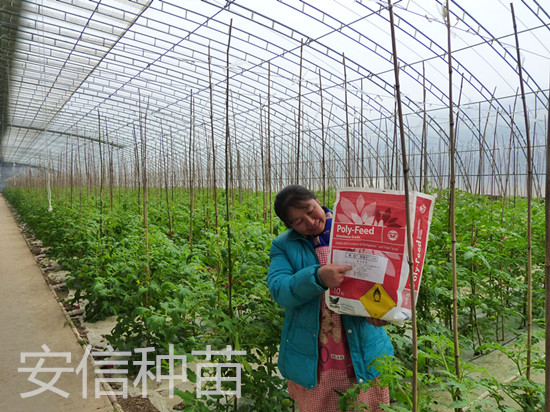 安信種苗促銷活動(dòng) 安信種苗促銷活動(dòng)