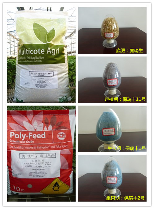 進(jìn)口水溶肥以色列海法系列肥-果蔬高產(chǎn)的保證 進(jìn)口水溶肥以色列海法系列肥-果蔬高產(chǎn)的保證
