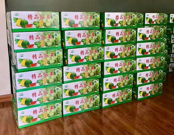 河南禮品香甜瓜上市啦！優(yōu)質(zhì)甜瓜苗創(chuàng)造高收益