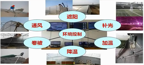 先進(jìn)的育苗技術(shù)及育苗設(shè)施-安信種苗 先進(jìn)的育苗技術(shù)及育苗設(shè)施-安信種苗