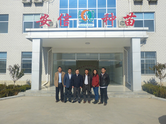 致公黨中委會(huì)秘書長(zhǎng)蒞臨安信黃瓜苗基地調(diào)研