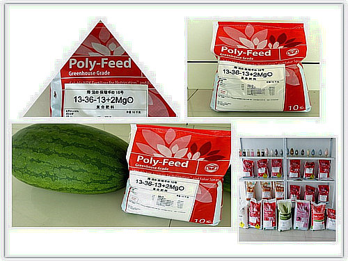 以色列進(jìn)口水溶肥