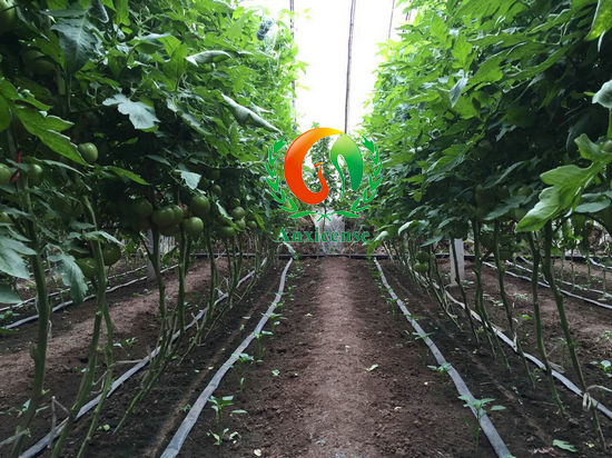 瞧,我多整齊啊! 瞧,我多整齊啊!