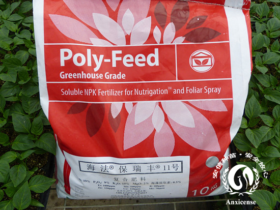 海法保瑞豐11號 海法保瑞豐11號