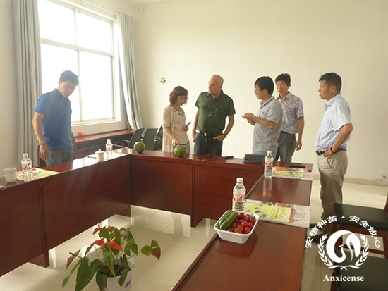 談?wù)摕o籽西瓜的果品 談?wù)摕o籽西瓜的果品