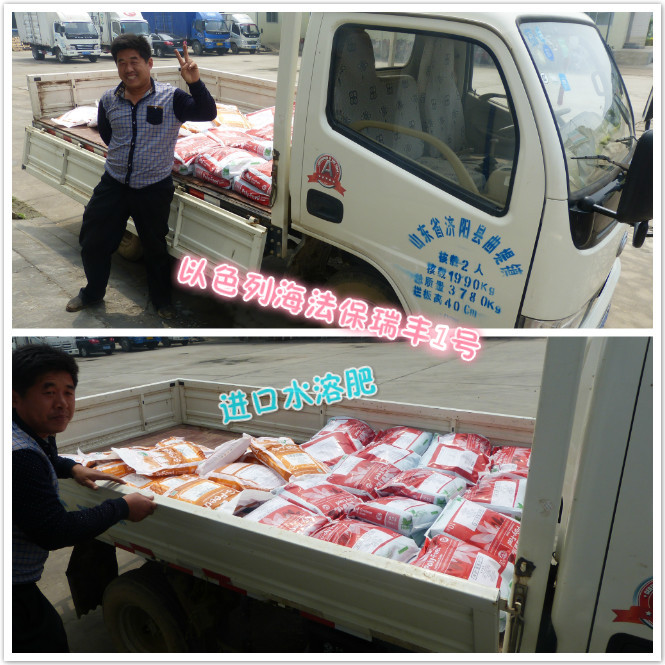 黃瓜專用肥 保瑞豐2號進口水溶肥 黃瓜專用肥 保瑞豐2號進口水溶肥