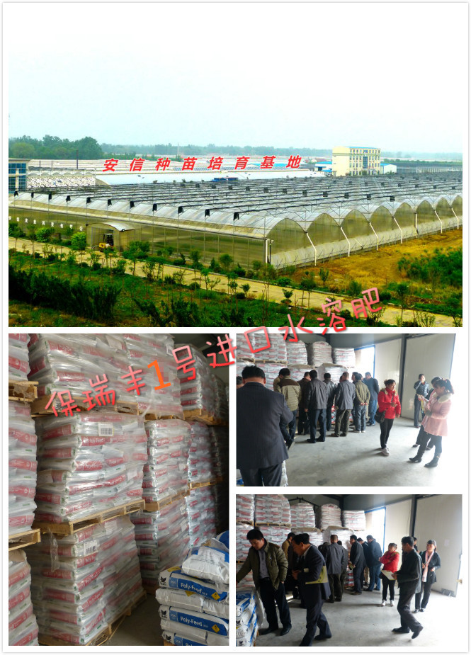 以色列海法保瑞豐2號進口水溶肥全國總代理 以色列海法保瑞豐2號進口水溶肥全國總代理