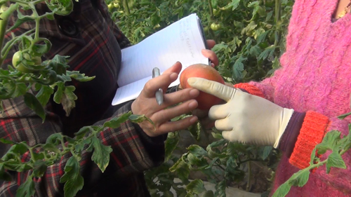 濟(jì)南-趙女士