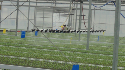 自動噴灌系統(tǒng)