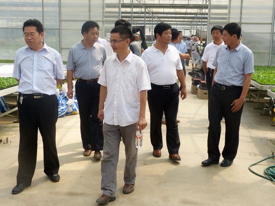 陽谷農(nóng)業(yè)局長白志宏參觀安信甜椒苗基地