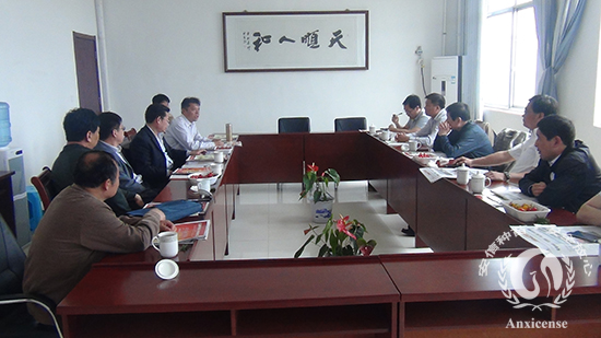 沂南縣領(lǐng)導(dǎo)一行到安信番茄苗基地參觀考察