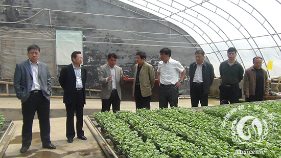 董事長(zhǎng)韓吉書介紹安信種苗公司育苗工藝及流程 董事長(zhǎng)韓吉書介紹安信種苗公司育苗工藝及流程