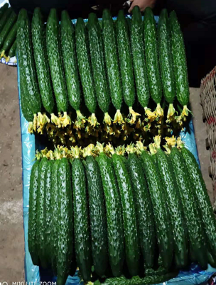 碩豐215.png 碩豐215.png