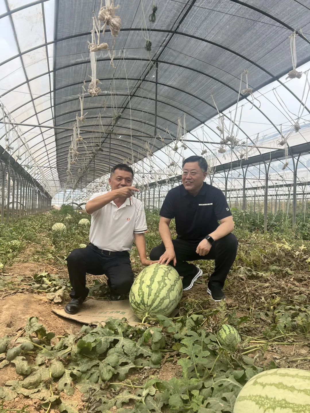 f86d328b99de376195fcc3d36ac71bb6.jpg f86d328b99de376195fcc3d36ac71bb6.jpg