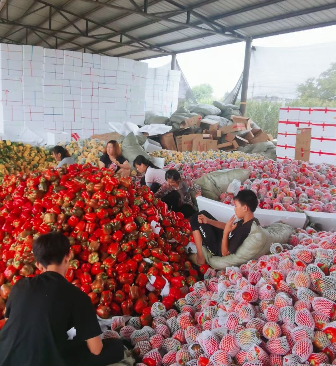 微信圖片_20240716170855.jpg 微信圖片_20240716170855.jpg